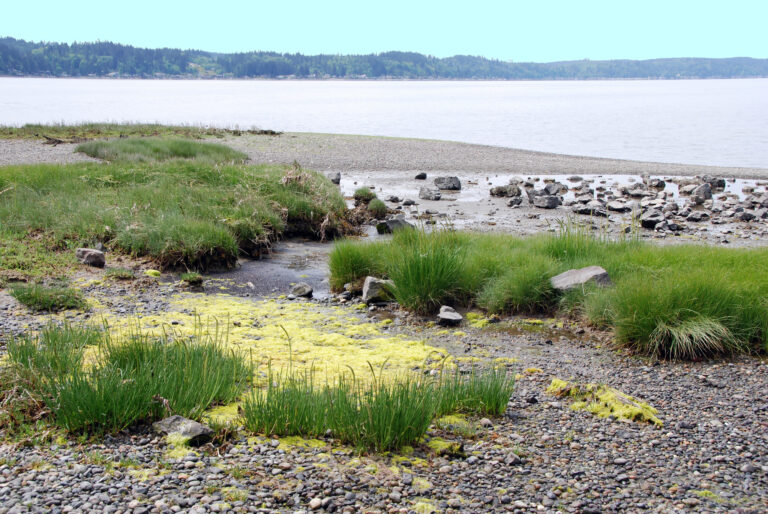 Lower Hood Canal Backroads Tour – 5.12.2007
