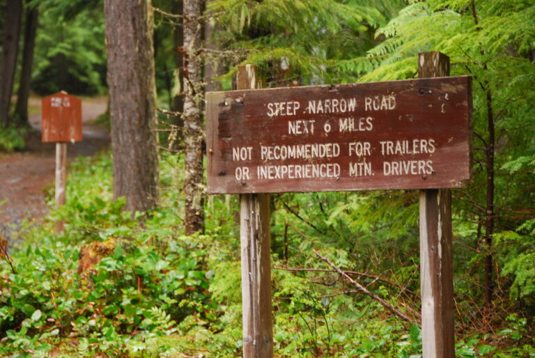 Below the Snowline: Huckleberry Creek/Greenwater – 5.19.2007