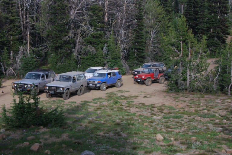 Clover Springs Trail Run – 07.14.2007