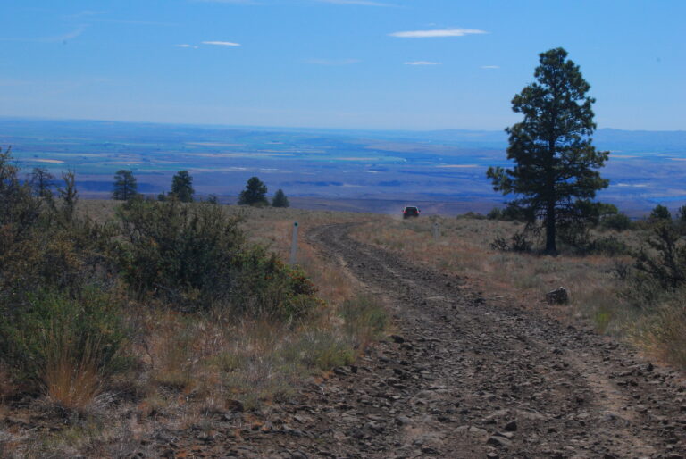 Quilomene Wildlife Area Overland Tour – 7.22.2007